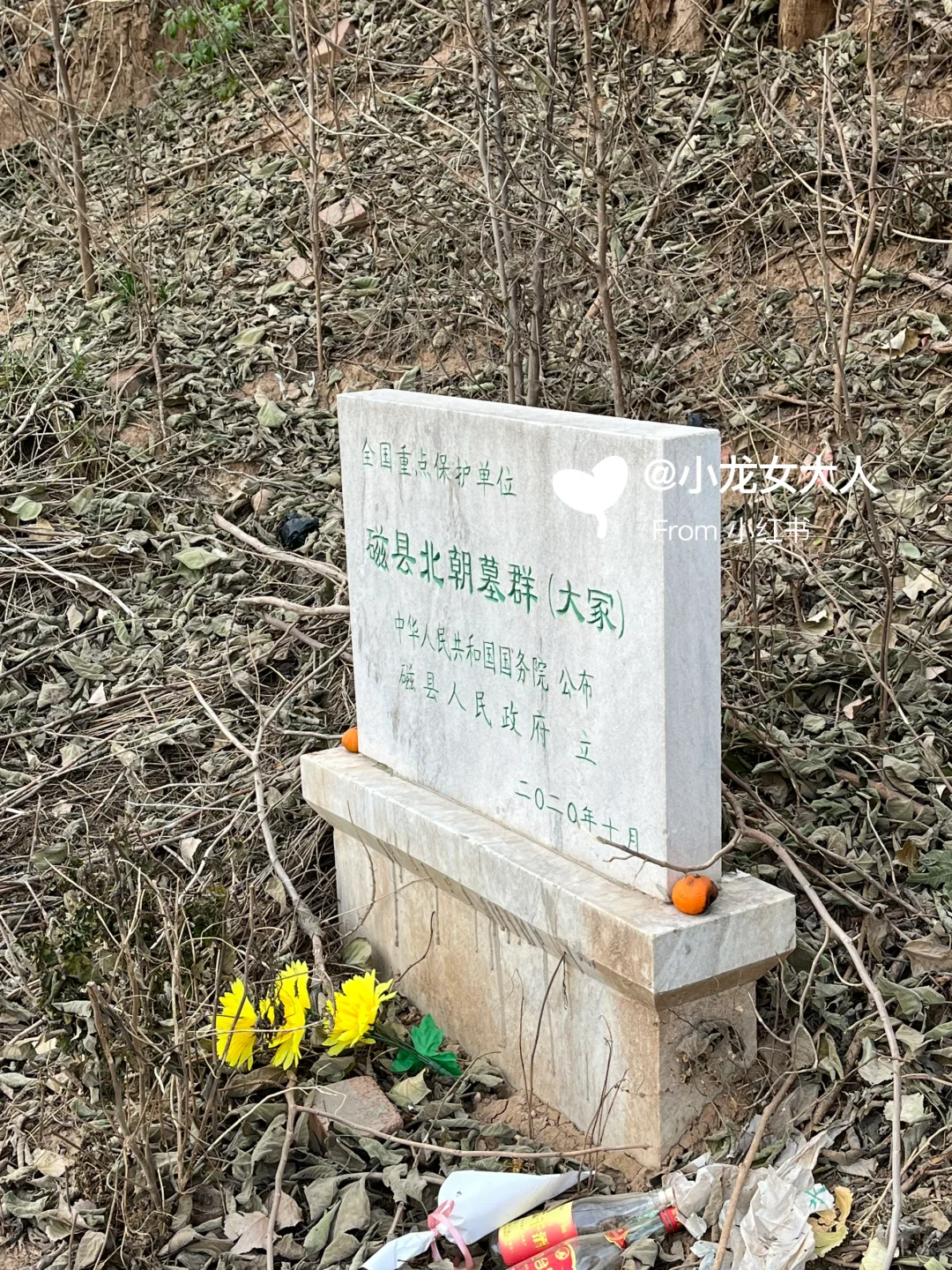 万万没想到｜邯郸探墓‼️高欢墓竟然在这里‼️