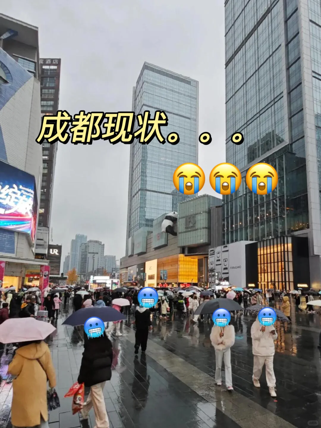 12.18📍成都奔溃已逃。。😭冷的直发抖🥶