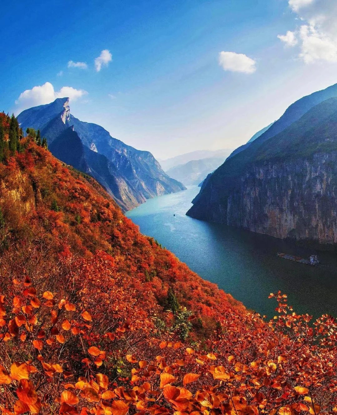 秋天太美了！三峡之巅赏红叶超全攻略