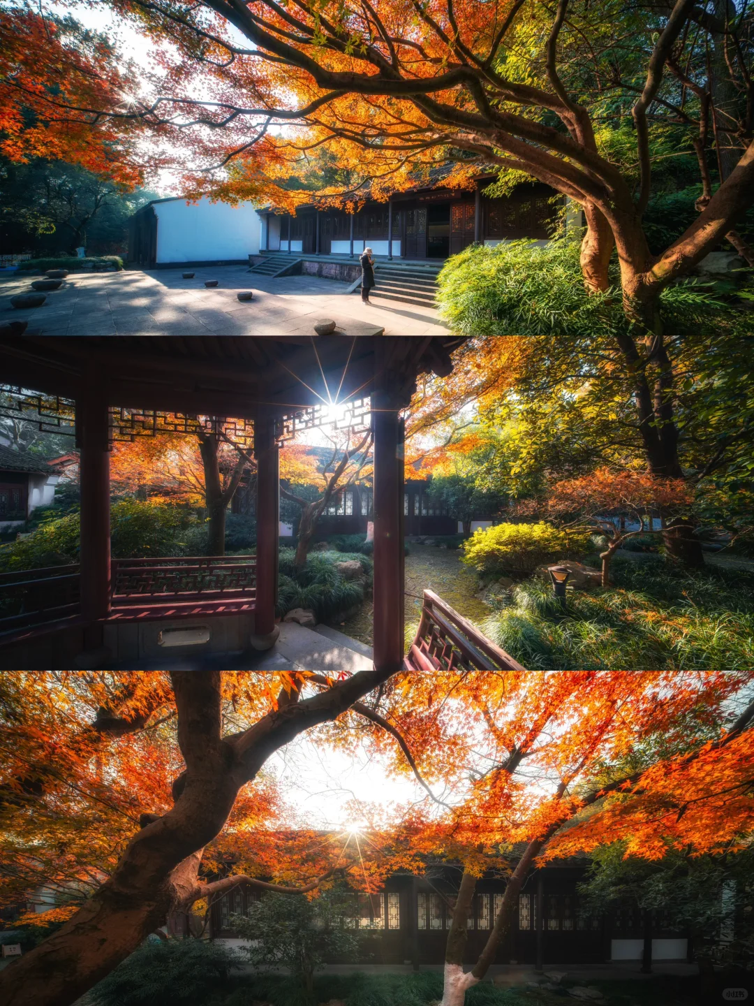 一个杭州99.9%的人都不知道的赏秋景点‼️