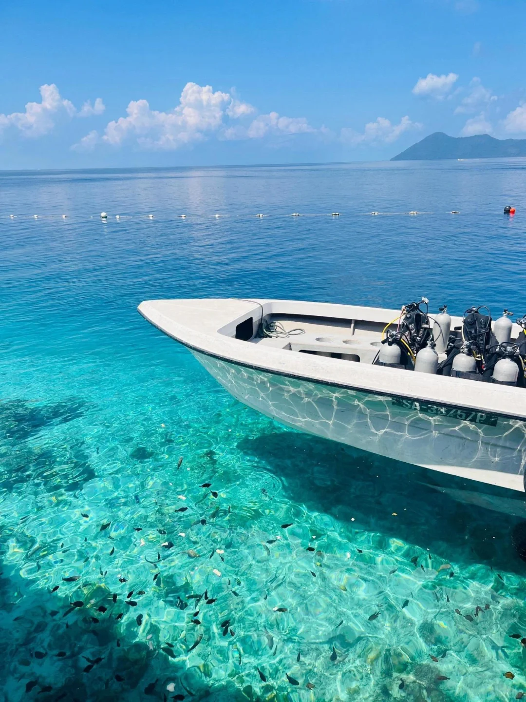 马来西亚度假已回|🍠上都是骗人的