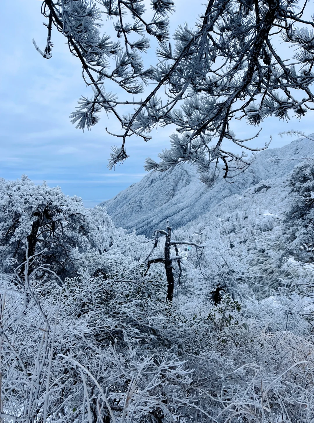 庐山看雪三天两夜保姆攻略来咯！