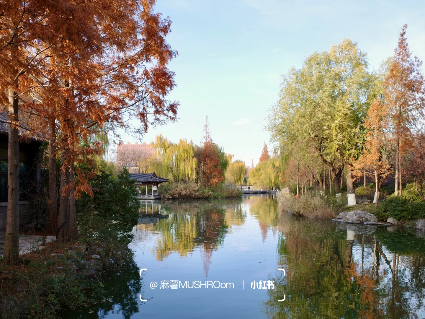 济南漫游收录｜冬日大明湖超出片🍂🍃