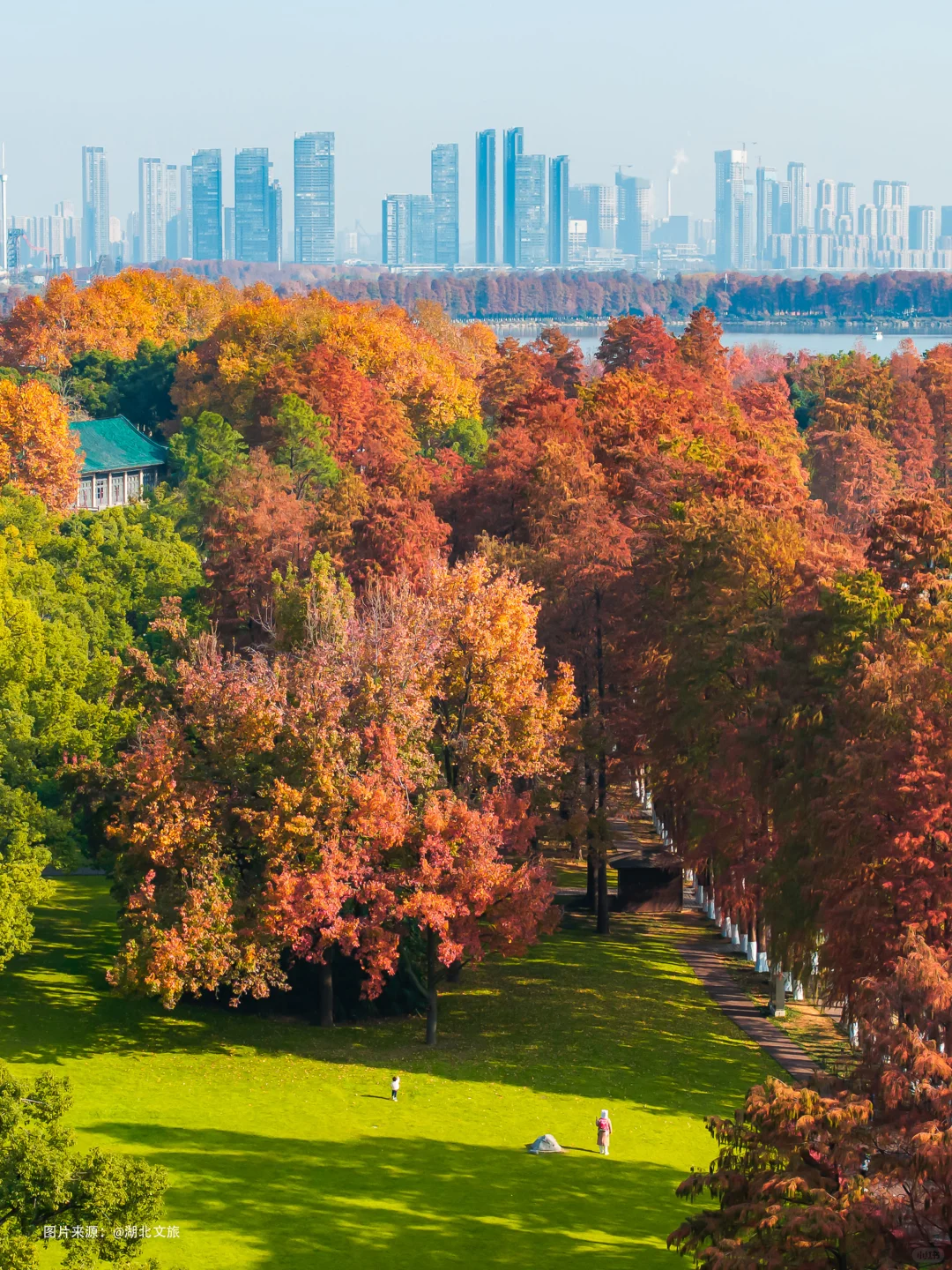不是照骗❗️12月的武汉东湖美得不像话‼️