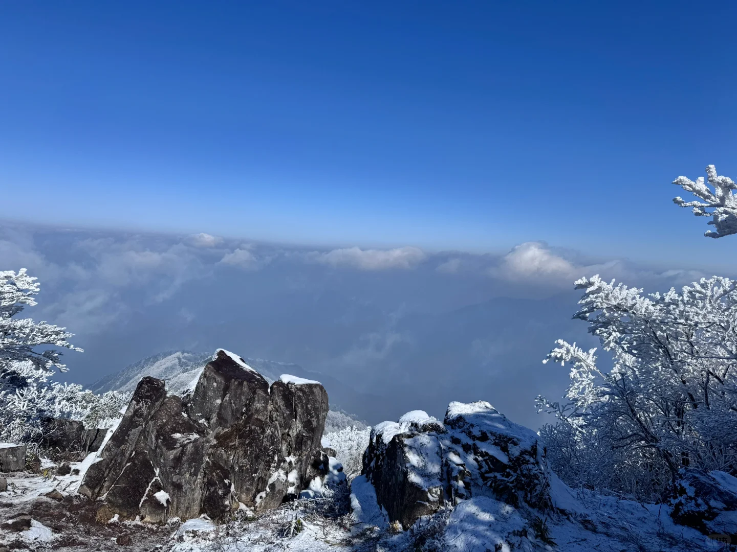 龙王山我又回来了