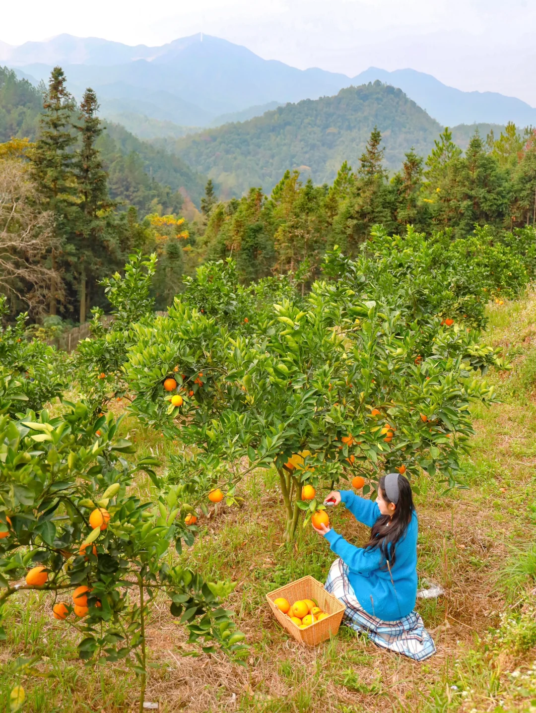 广州2H直达！避世秘境🏮适合周末放松游玩