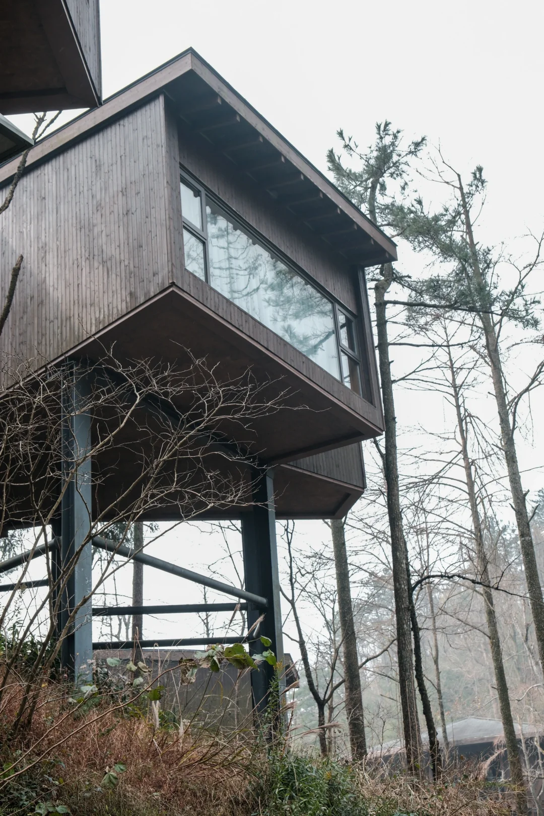 宁波，自然谧境，心归森野✧*｡🌳🌳🌳