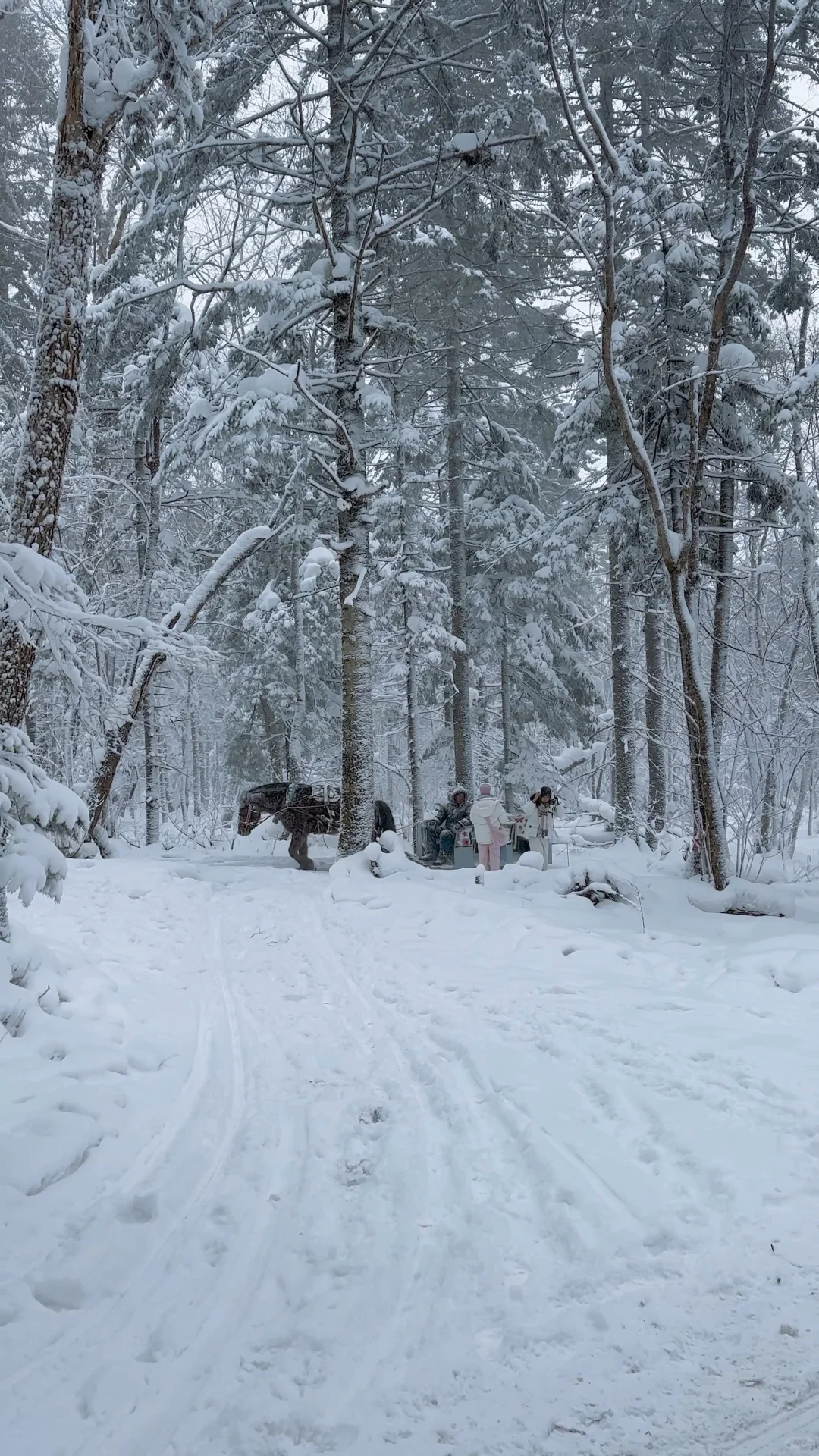 以为长白山天池已经够美了，直到我去了…