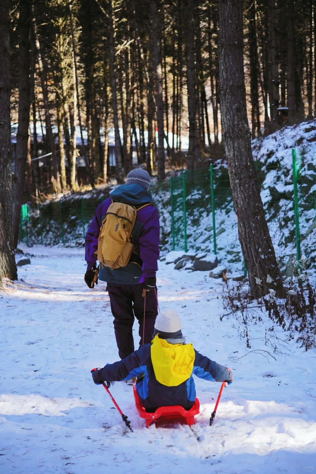 当日往返‼️成都周边🆓童话雪世界❄️附live图