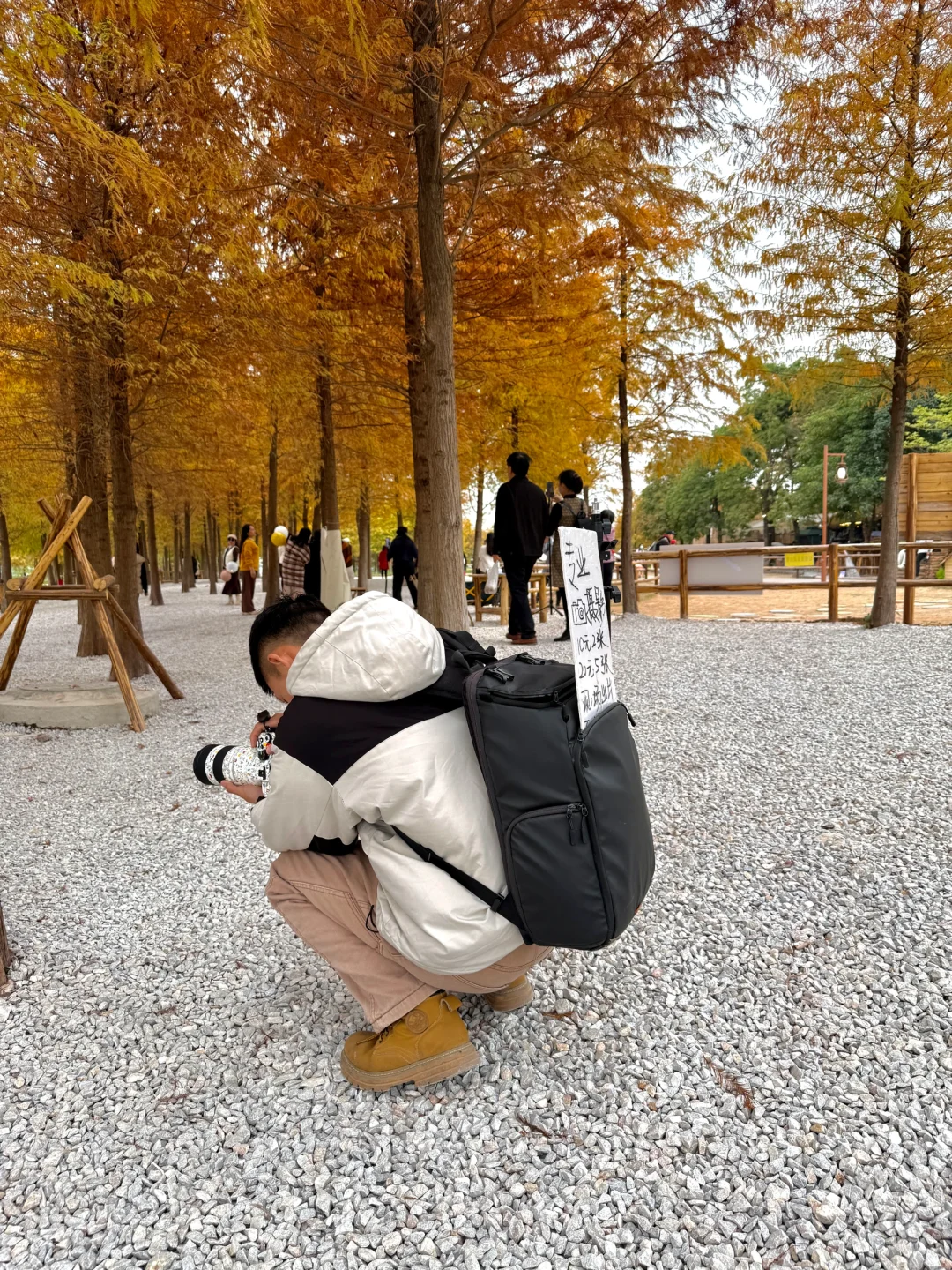 灵龟山落羽杉摄影摆摊！12.17实况！