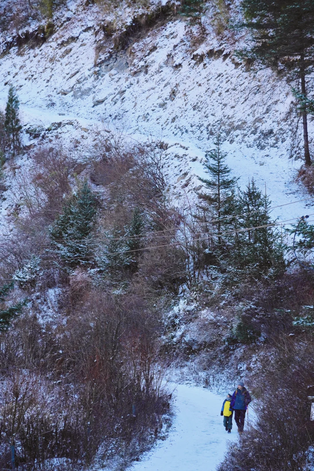 当日往返‼️成都周边🆓童话雪世界❄️附live图