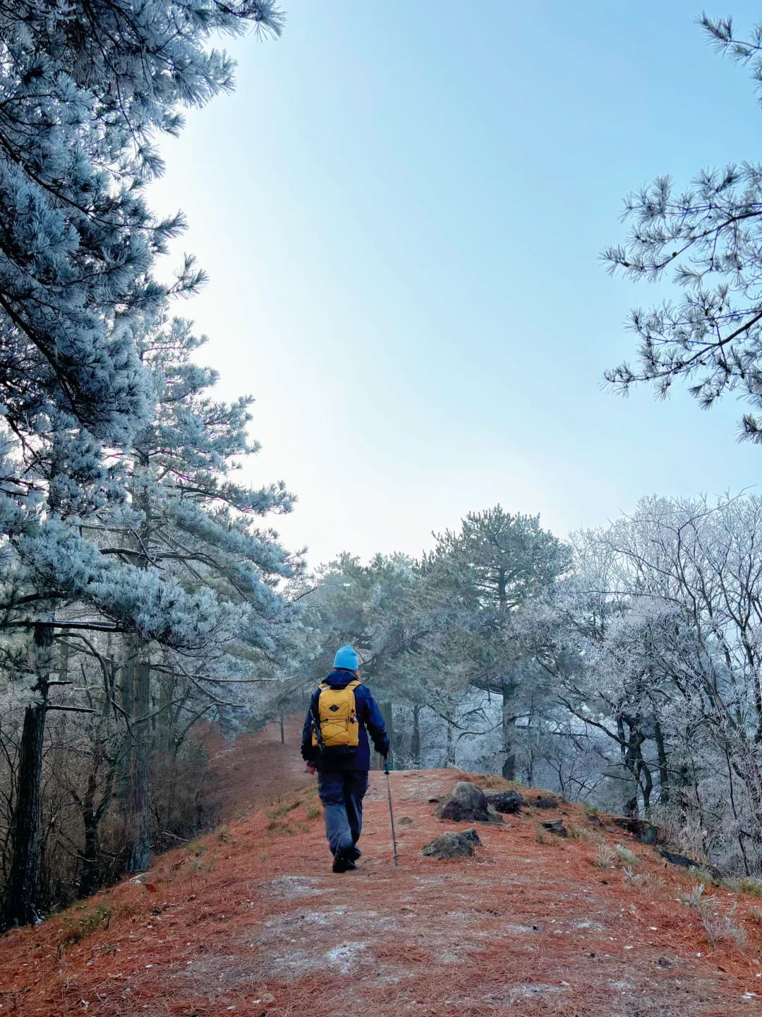 龙王山我又回来了