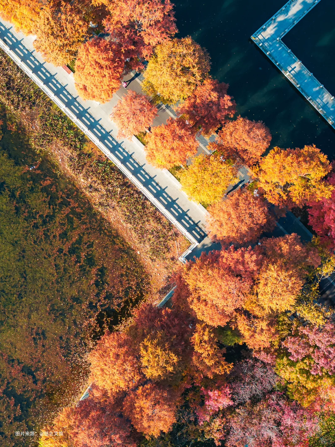 不是照骗❗️12月的武汉东湖美得不像话‼️