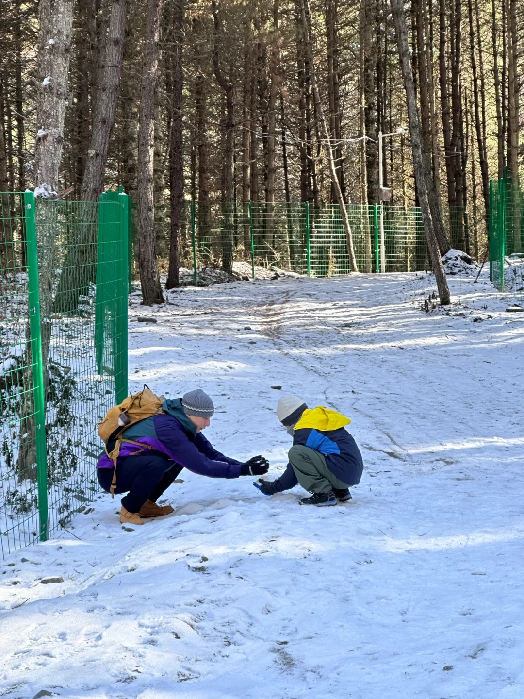 当日往返‼️成都周边🆓童话雪世界❄️附live图