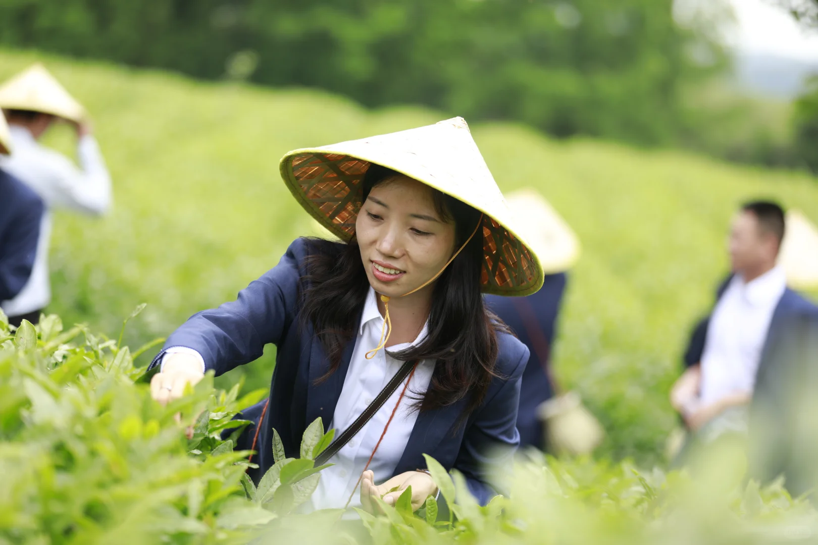 遵义湄潭茶海：拓展新天地，团队共成长