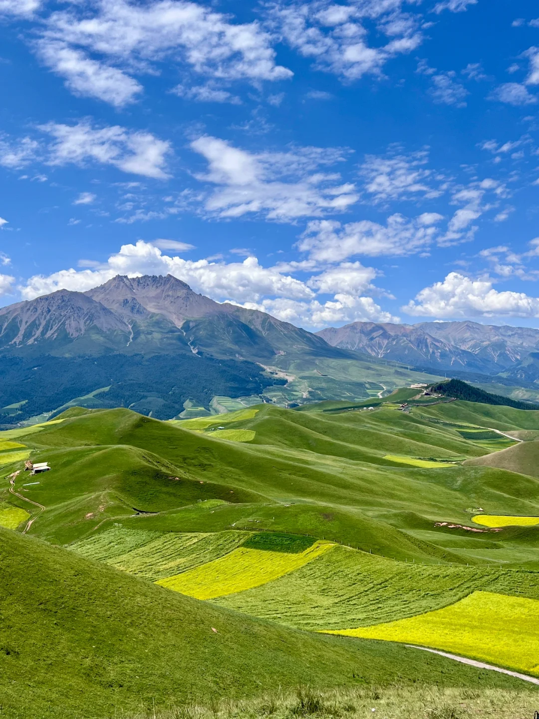 免费的才封神啊‼️青甘线的冷门景点卓尔后山