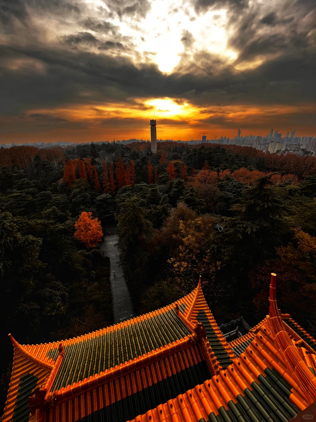 藏在雨花台景区里无人知晓的超绝机位!