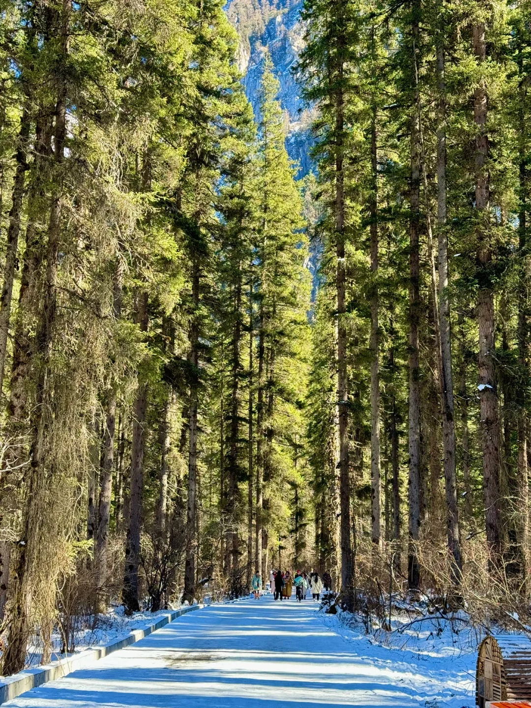 新路线‼️西安2天1夜🏔️北欧雪山森林度周末！