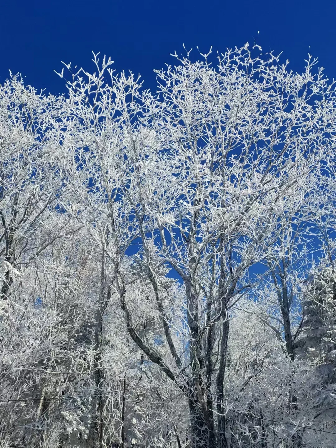 长白山，拼车，包车。