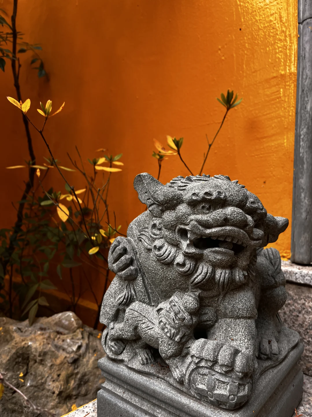 藏在雨花台景区里无人知晓的超绝机位!