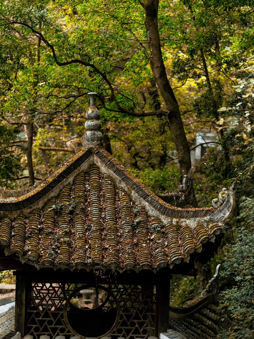 贵州怎么不宣传这里啊⁉️深山中的明代飞云崖