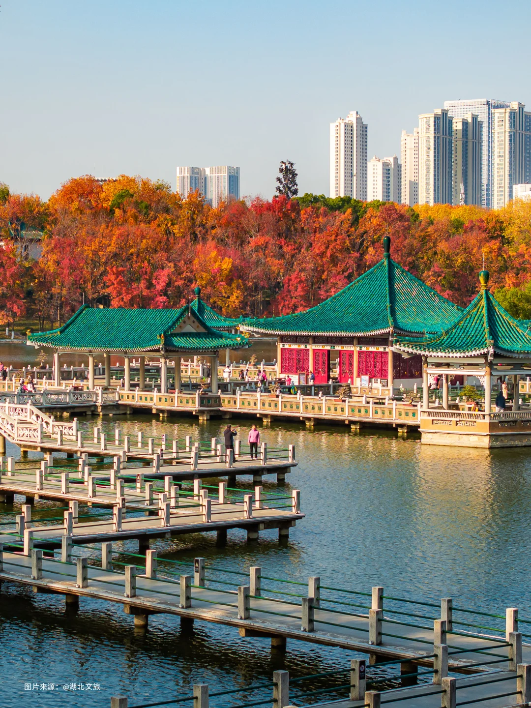 不是照骗❗️12月的武汉东湖美得不像话‼️