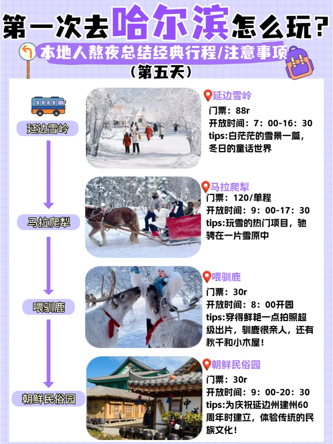 第一次去哈尔滨旅游这样玩❗人均3k就拿下！