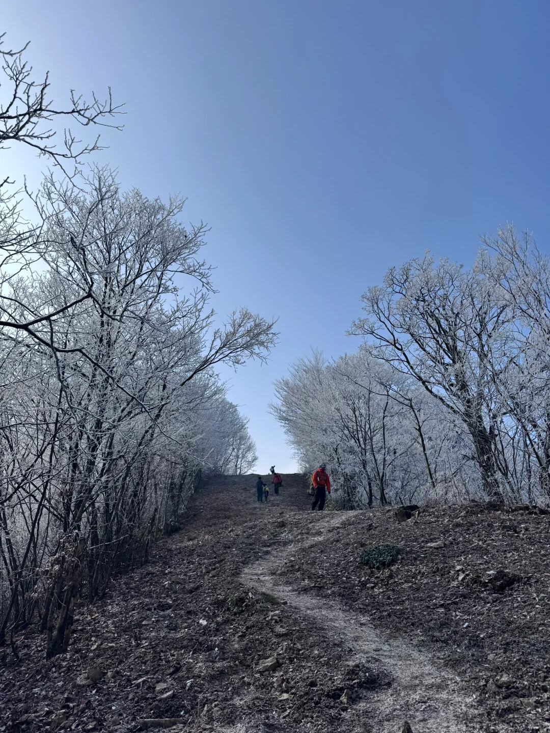 龙王山我又回来了