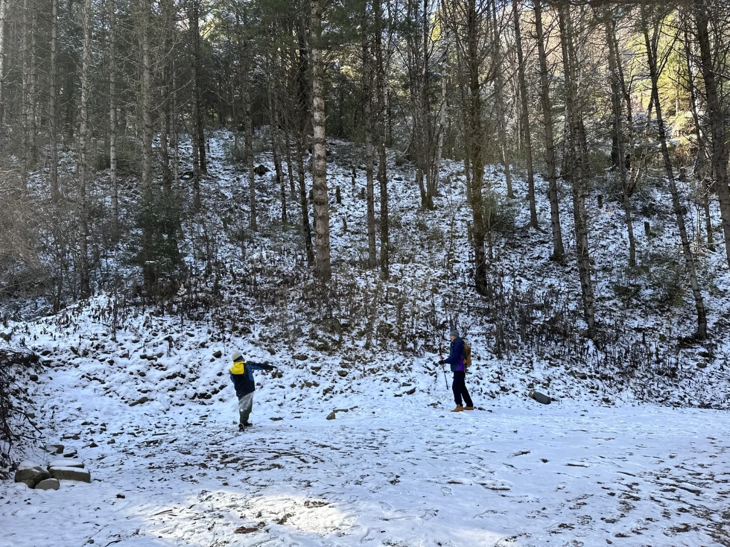 当日往返‼️成都周边🆓童话雪世界❄️附live图