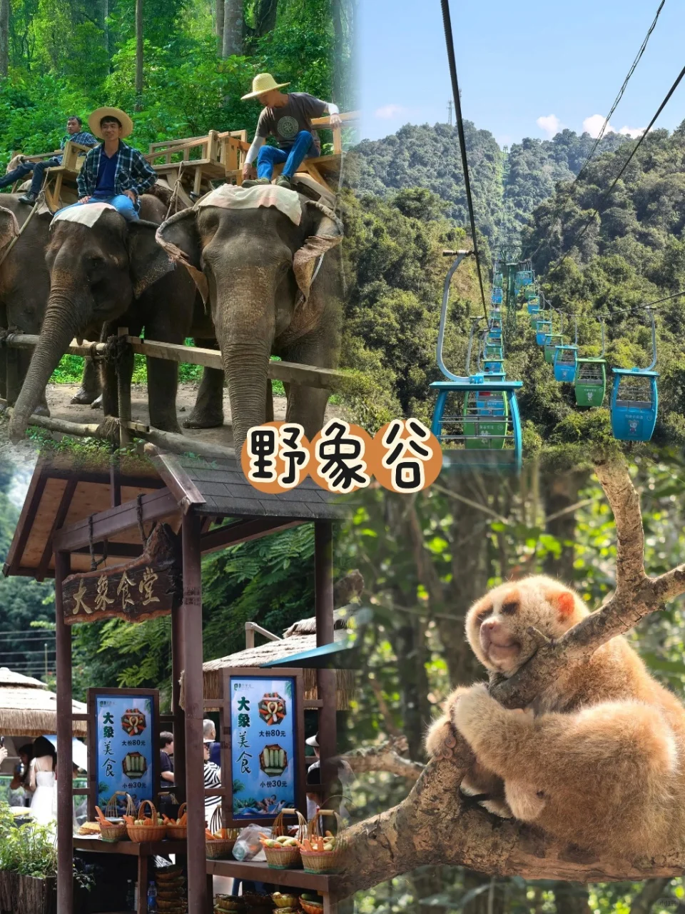 西双版纳5日游懒人版路线‼️不走冤枉路