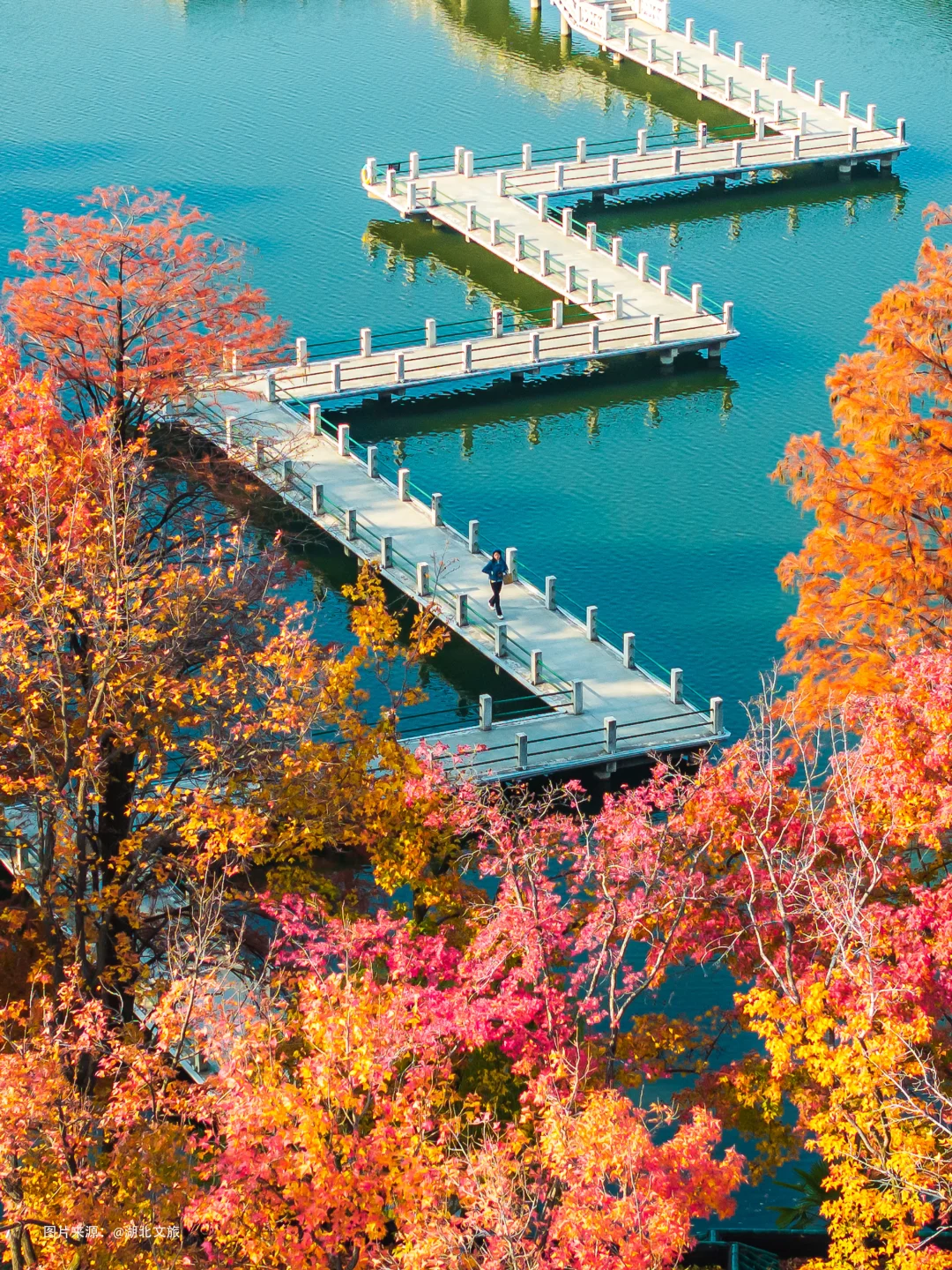 不是照骗❗️12月的武汉东湖美得不像话‼️