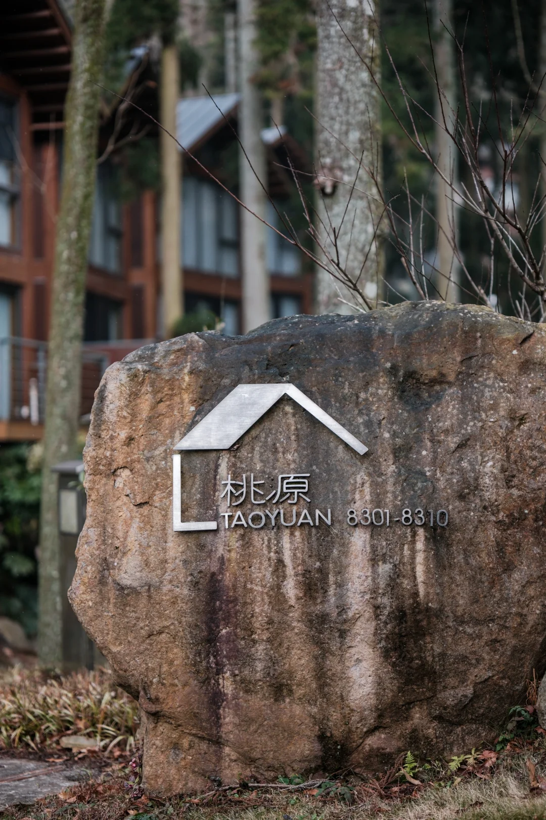 宁波，自然谧境，心归森野✧*｡🌳🌳🌳