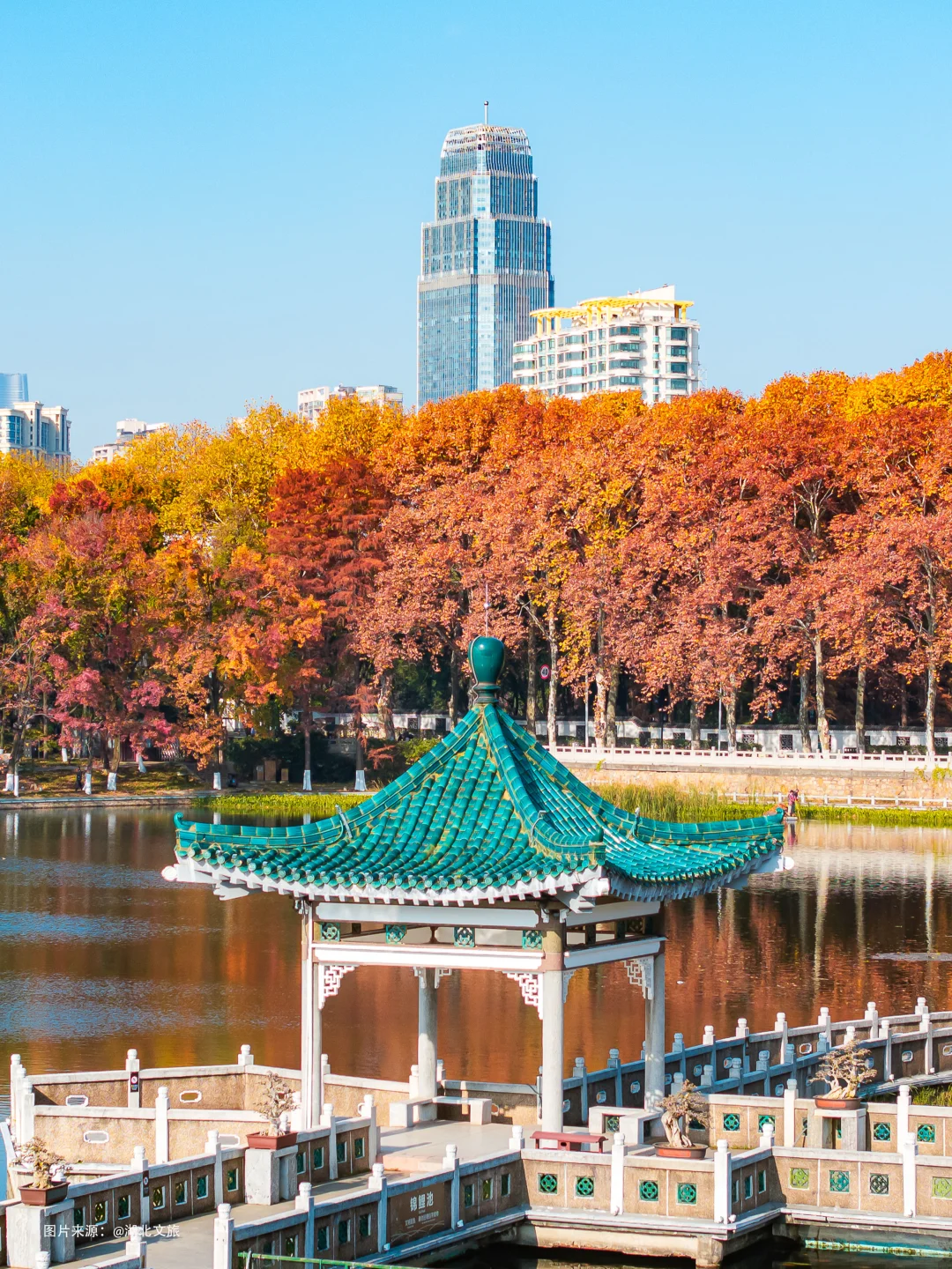 不是照骗❗️12月的武汉东湖美得不像话‼️