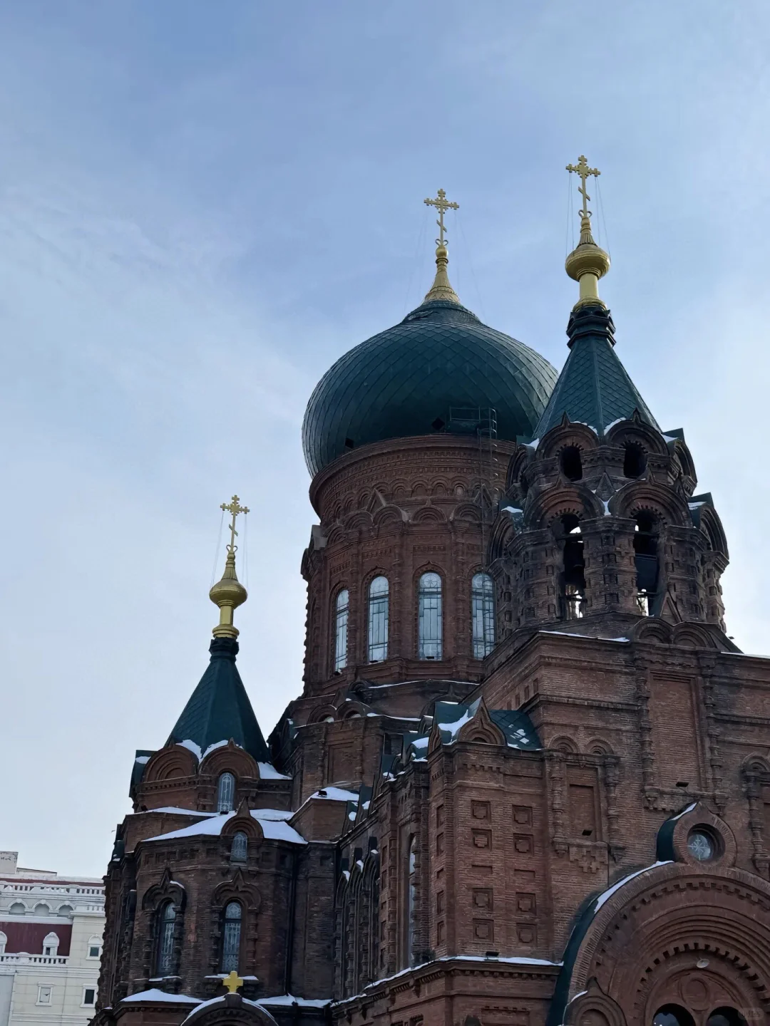 哈尔滨已回!南方小土豆不要再被骗啦!