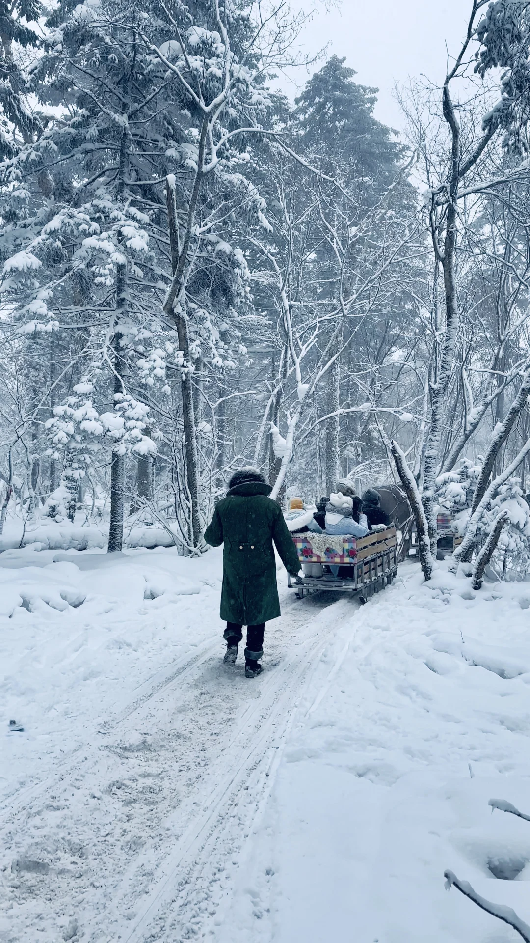 以为长白山天池已经够美了，直到我去了…