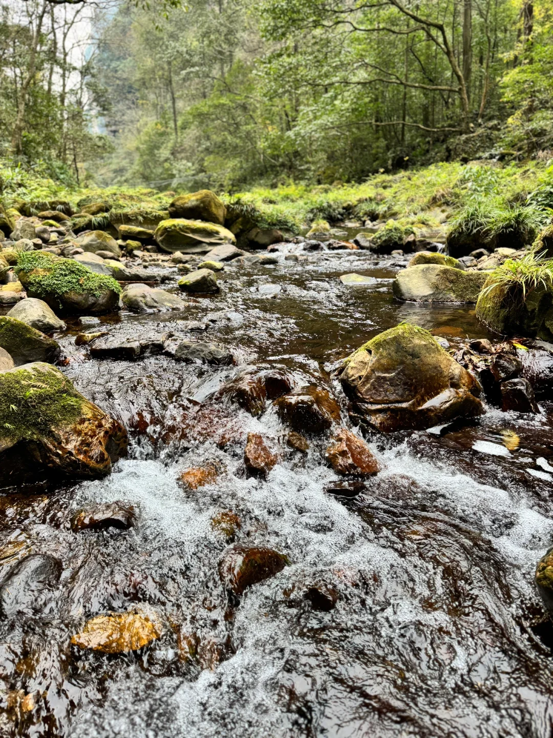 张家界怎么玩？教科书级别攻略