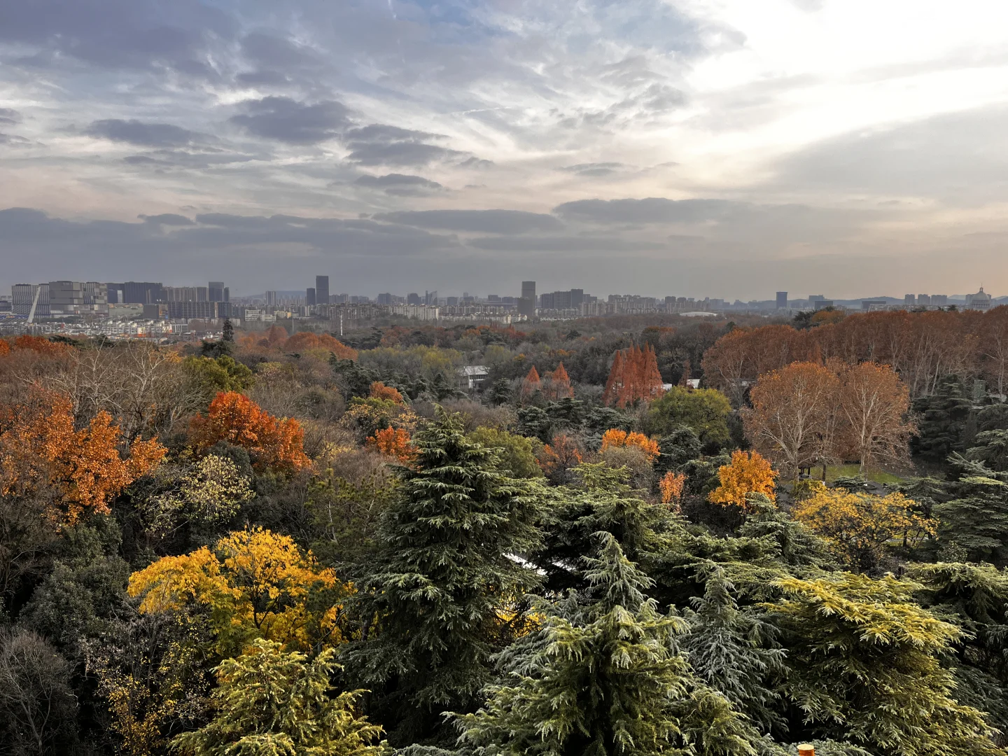 藏在雨花台景区里无人知晓的超绝机位!