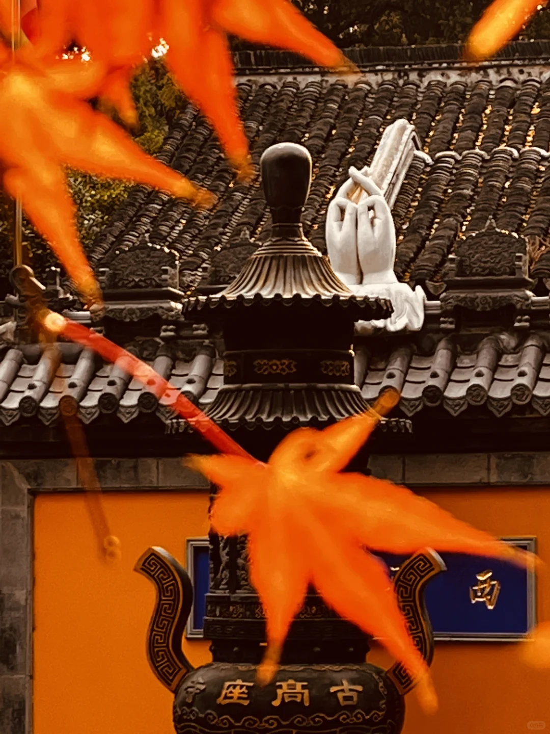 藏在雨花台景区里无人知晓的超绝机位!