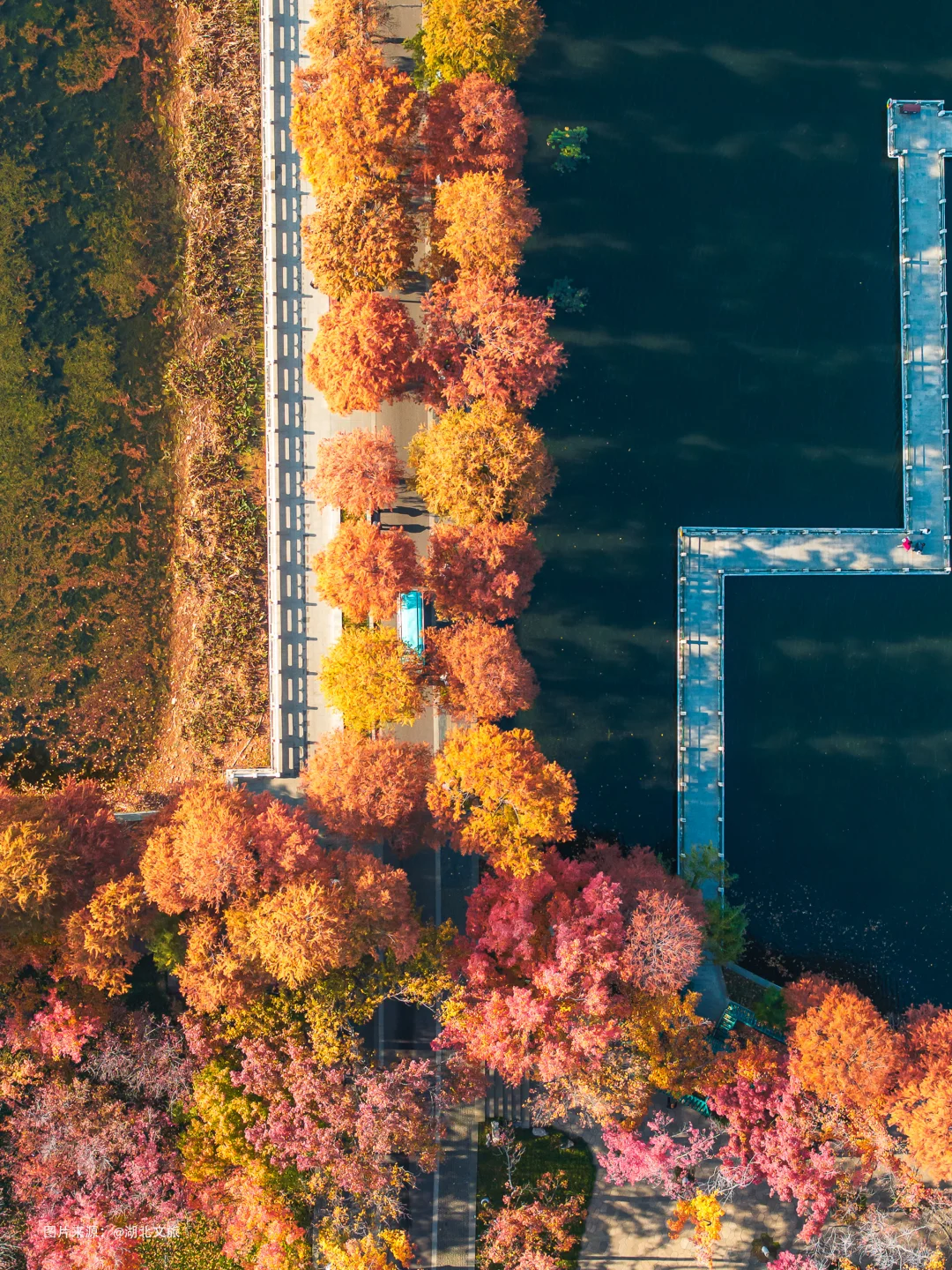 不是照骗❗️12月的武汉东湖美得不像话‼️