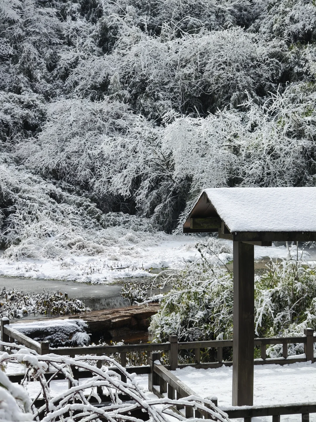 南天湖❄️哪里人少景美出片?(附攻略)
