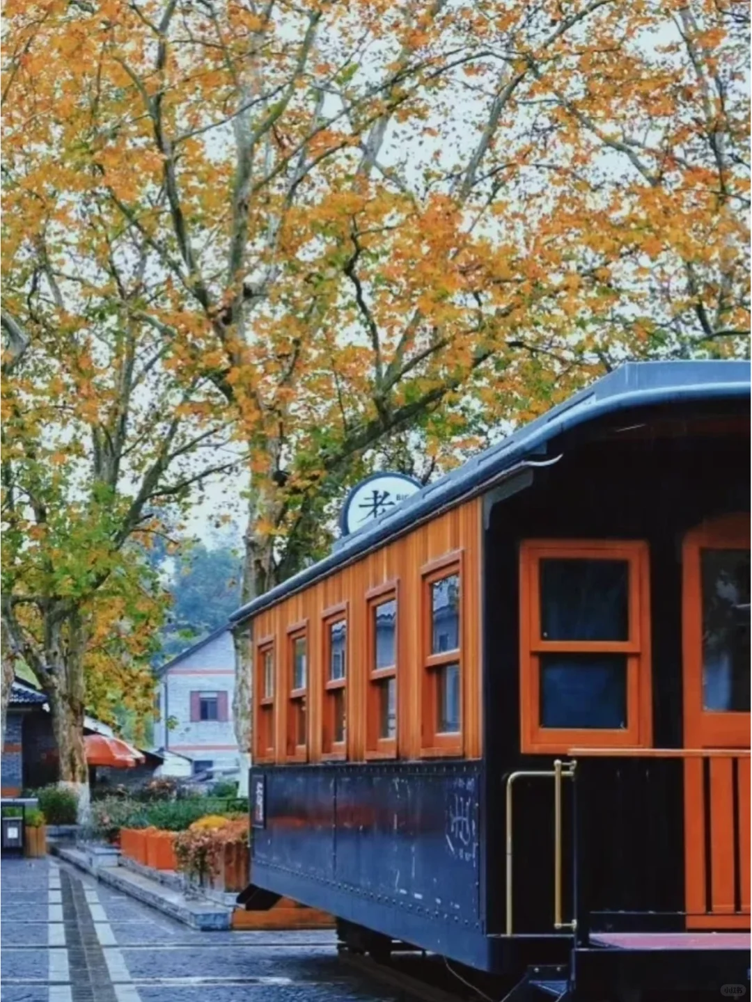 终于找全了莫干山两日游最美秋色打卡点❗