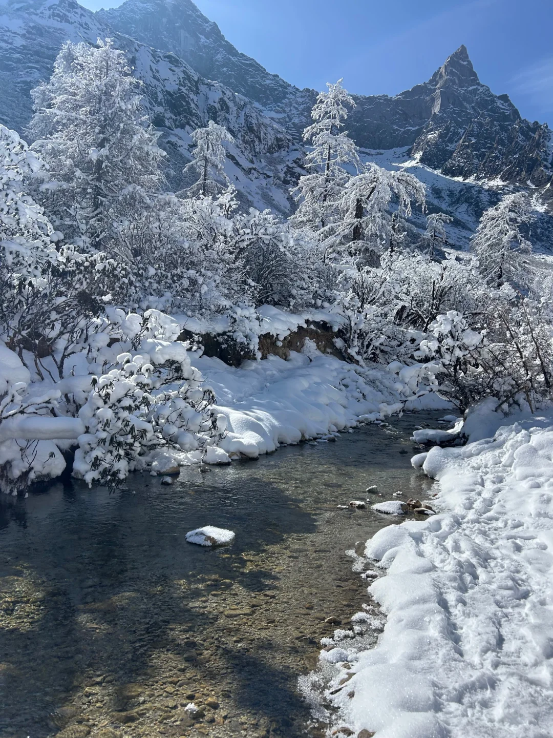 12.16📍毕棚沟live实拍!真的美的不像话…🥲