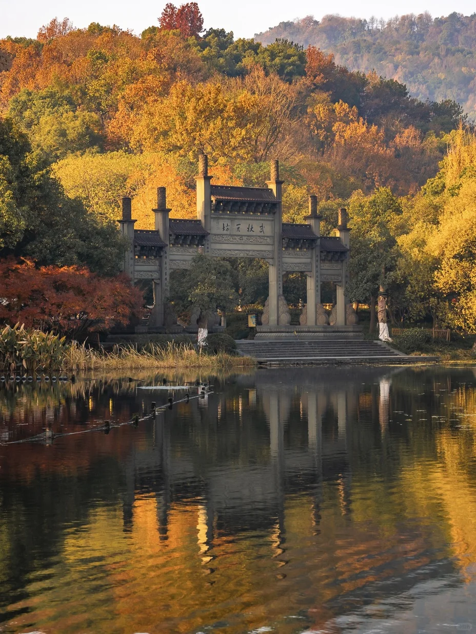 紧邻西湖‼️本地人都爱逛的小众赏秋公园!🍁