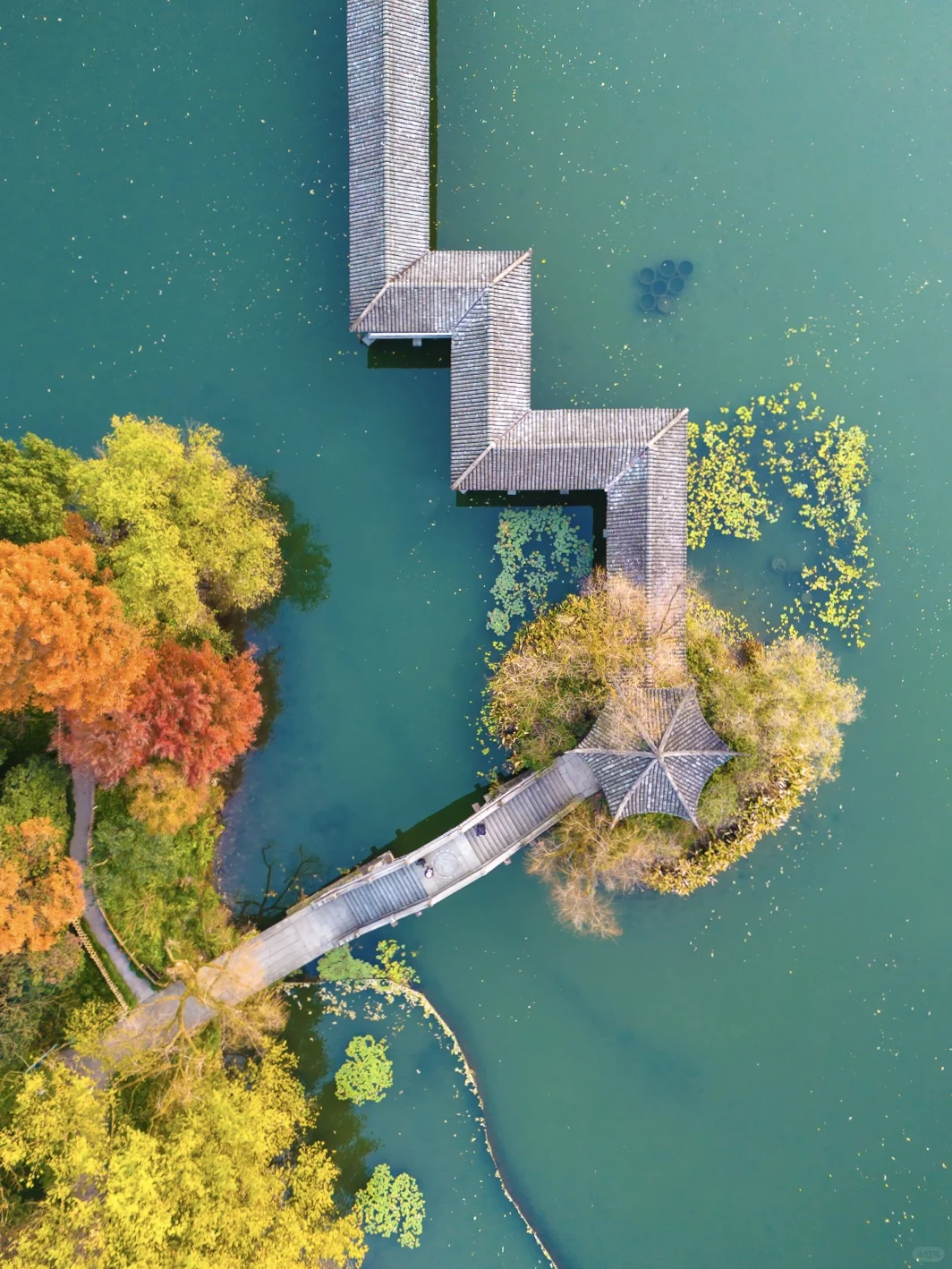 紧邻西湖‼️本地人都爱逛的小众赏秋公园!🍁