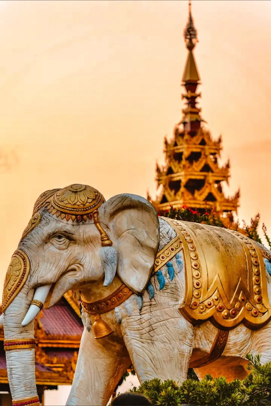 芒市｜想把云南这个边陲小城安利给所有人