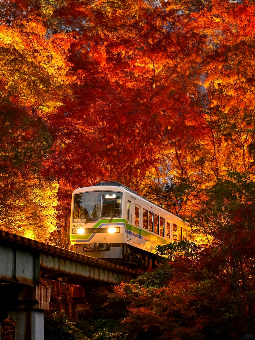 2024京都叡山电车赏枫｜景点路线+交通攻略