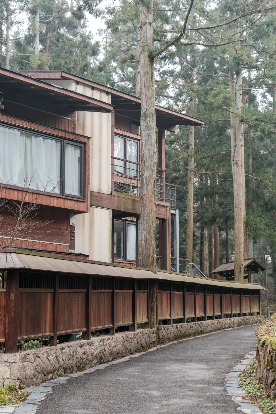 宁波，自然谧境，心归森野✧*｡🌳🌳🌳