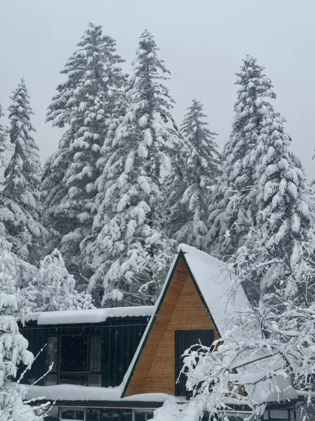 长白山，拼车，包车。