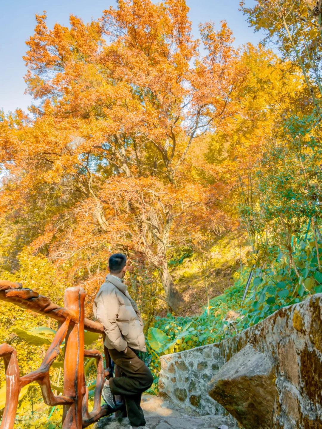 先出发再说｜分享5️⃣个在广州拍枫叶的宝藏地