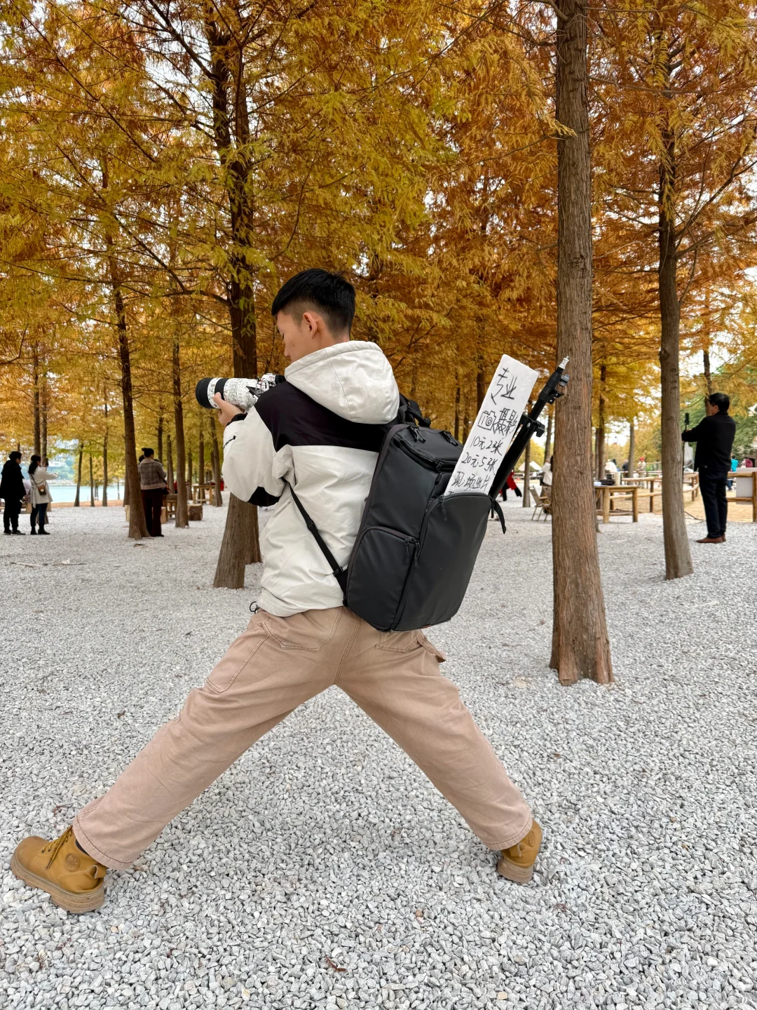 灵龟山落羽杉摄影摆摊！12.17实况！